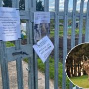 A deer that forced a Swindon allotment to close has disappeared