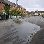 A burst water pipe in Penhill is attracting flies in the warm weather.