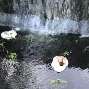 Adult nappies seen dumped in Shaftesbury Lake
