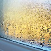 As the weather begins to get cooler, have you begun seeing condensation on your windows?