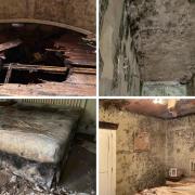 Pictures of a mould infested home a Swindon pensioner was recently found to be living in