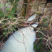 Part of the River Ray in North Swindon has turned completely white