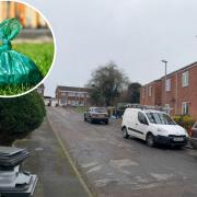 Residents in Galsworthy Close are angry about dog poo being left in their street