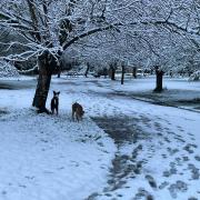 Surprise snow hit Wiltshire on Saturday morning.