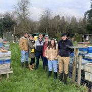 The Ron Hoskins Honeybee Conservation Group