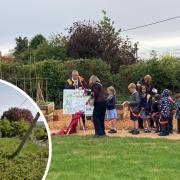 In 10 weeks, Vale View Gardens has been transformed from an overgrown wasteland to a community space