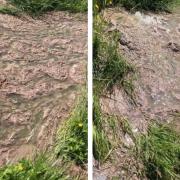 Gallons of raw sewage spilled over a Blunsdon farm for days