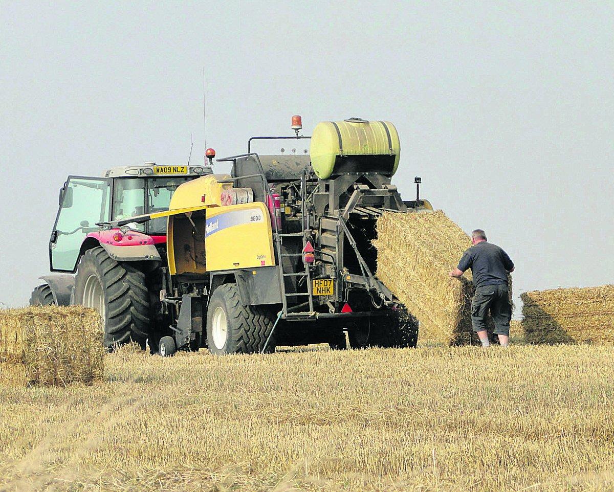 Swiindon Advertiser readers photographs Even with modern machinery the hay still needs a man to help                                         Picture: Maureen Skinner