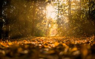 Best walks in Wiltshire to enjoy this Autumn 