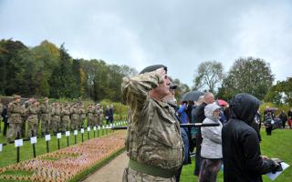 Lydiard Park's Field of Remembrance has reopened