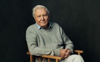 This is when Mammals presented by Sir David Attenborough will air on BBC One this year