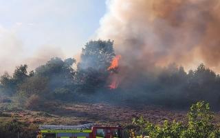 An amber wildfire alert has been issued for the Dorset & Wiltshire Fire and Rescue Service area for the coming weekend