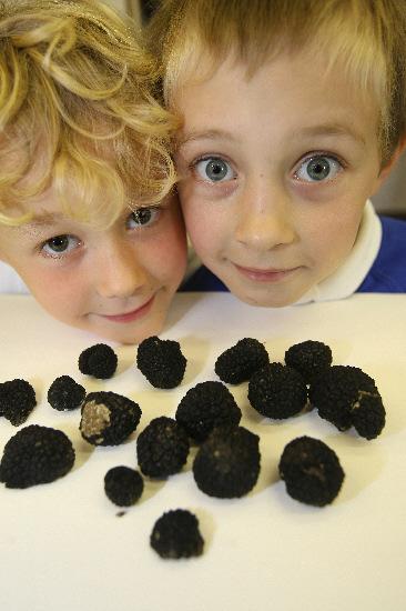 Rowan Maslin and Louis Winter with the truffles 