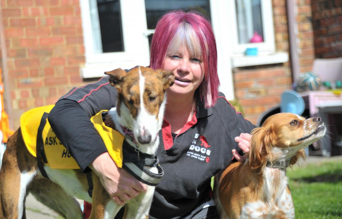 SNDogs are asking for donations to help its work rehoming unwanted dogs |  Swindon Advertiser