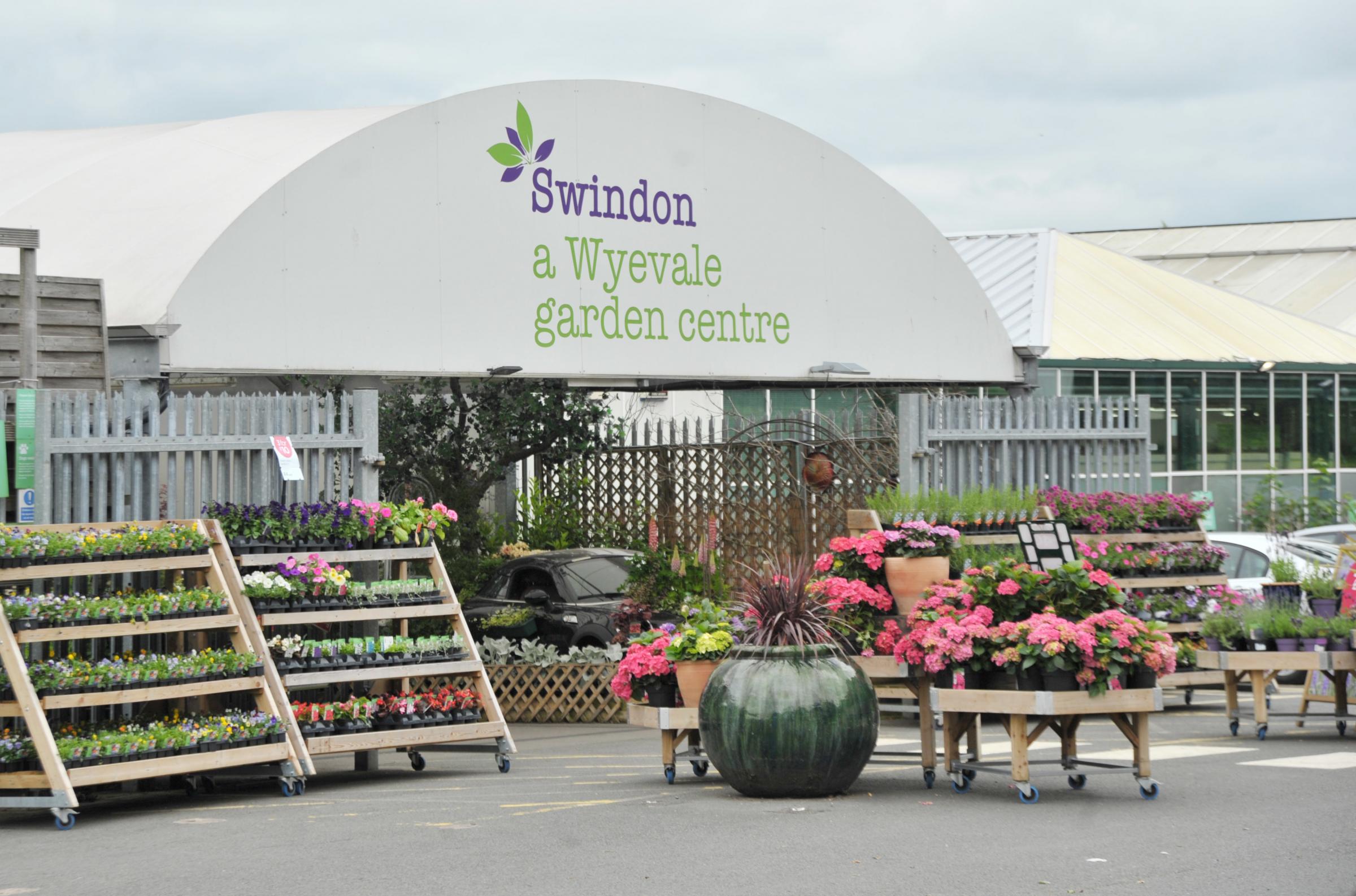 Stratton Garden Centre Will Reopen Under New Management Swindon